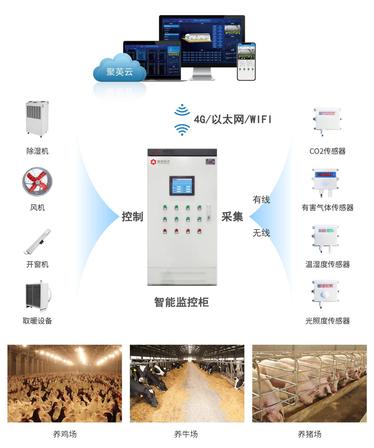 系统硬件组网拓扑图