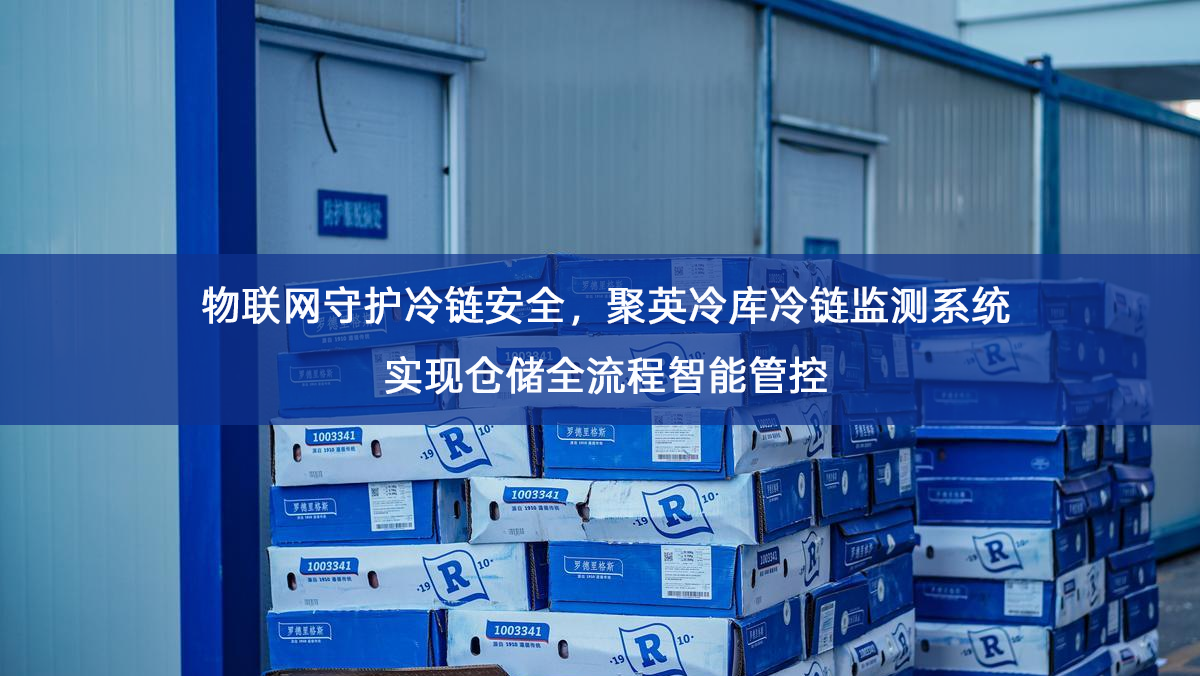 物联网守护冷链安全，聚英冷库冷链监测系统实现仓储全流程智能管控