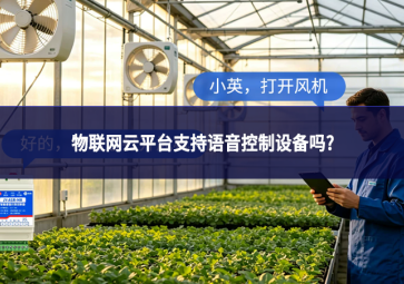 物联网云平台支持语音控制设备吗?