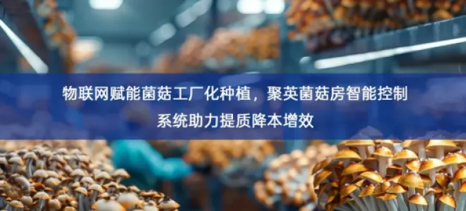 「智慧养殖」物联网赋能菌菇工厂化种植，聚英菌菇房智能控制系统助力提质降本增效