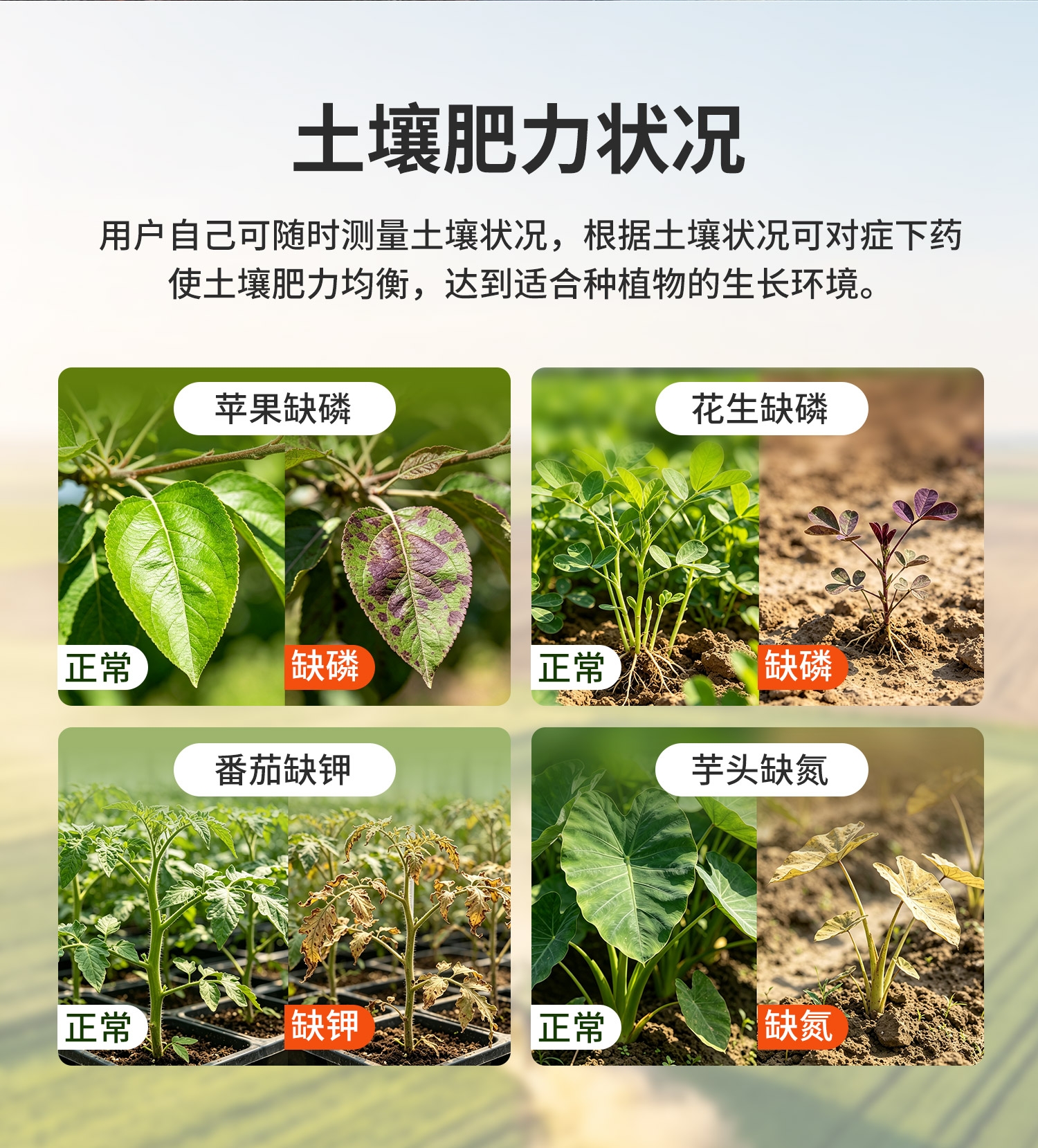 低功耗+土壤氮磷钾-详情_05.jpg